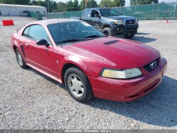  Salvage Ford Mustang