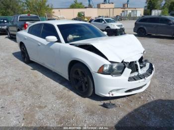  Salvage Dodge Charger