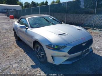  Salvage Ford Mustang