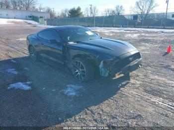  Salvage Ford Mustang