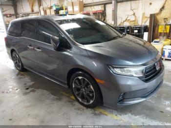  Salvage Honda Odyssey