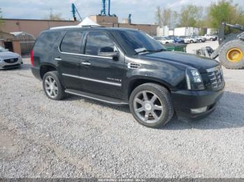  Salvage Cadillac Escalade