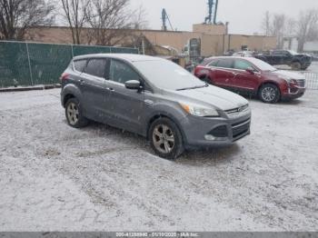  Salvage Ford Escape