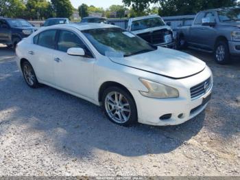  Salvage Nissan Maxima