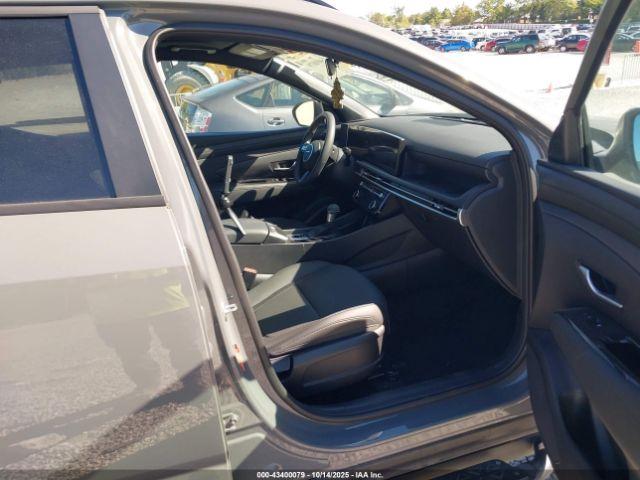 Hyundai SANTA CRUZ Sel Activity Image 12