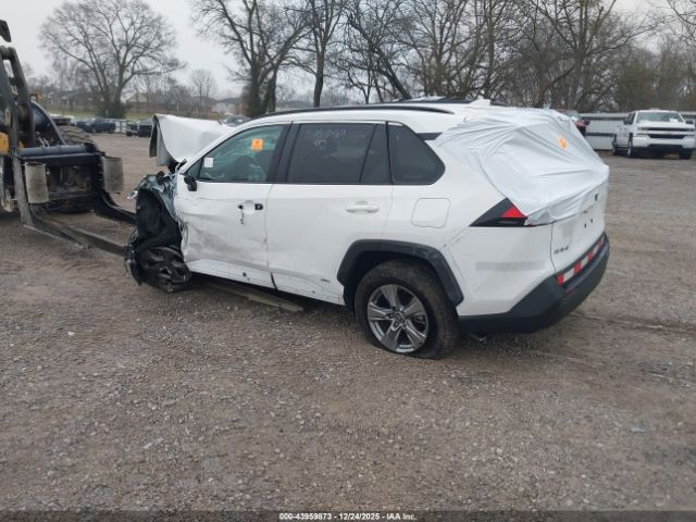 Toyota RAV4 Xle Image 4