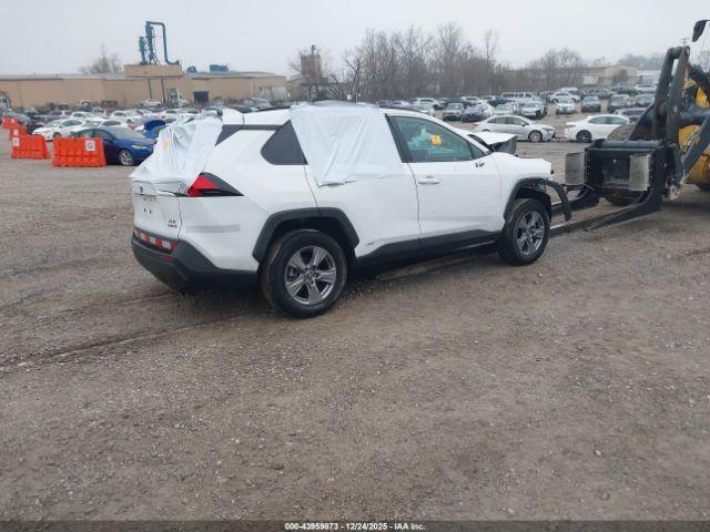 Toyota RAV4 Xle Image 3