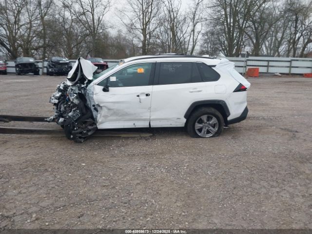 Toyota RAV4 Xle Image 12