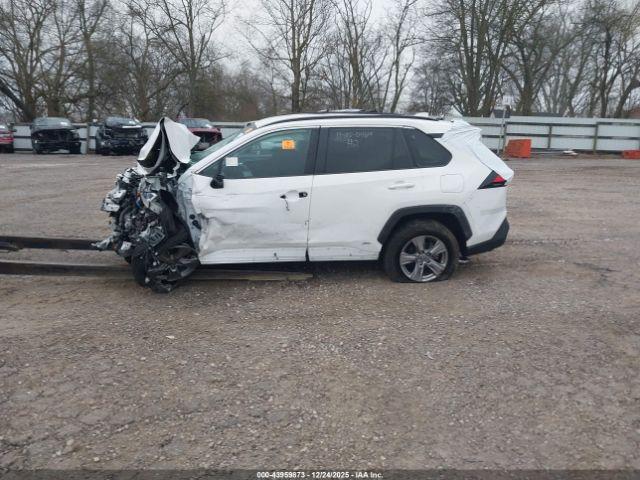 Toyota RAV4 Xle Image 12